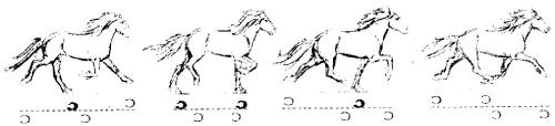Pace diagram