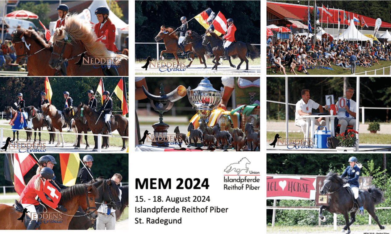 Mem24 Collage