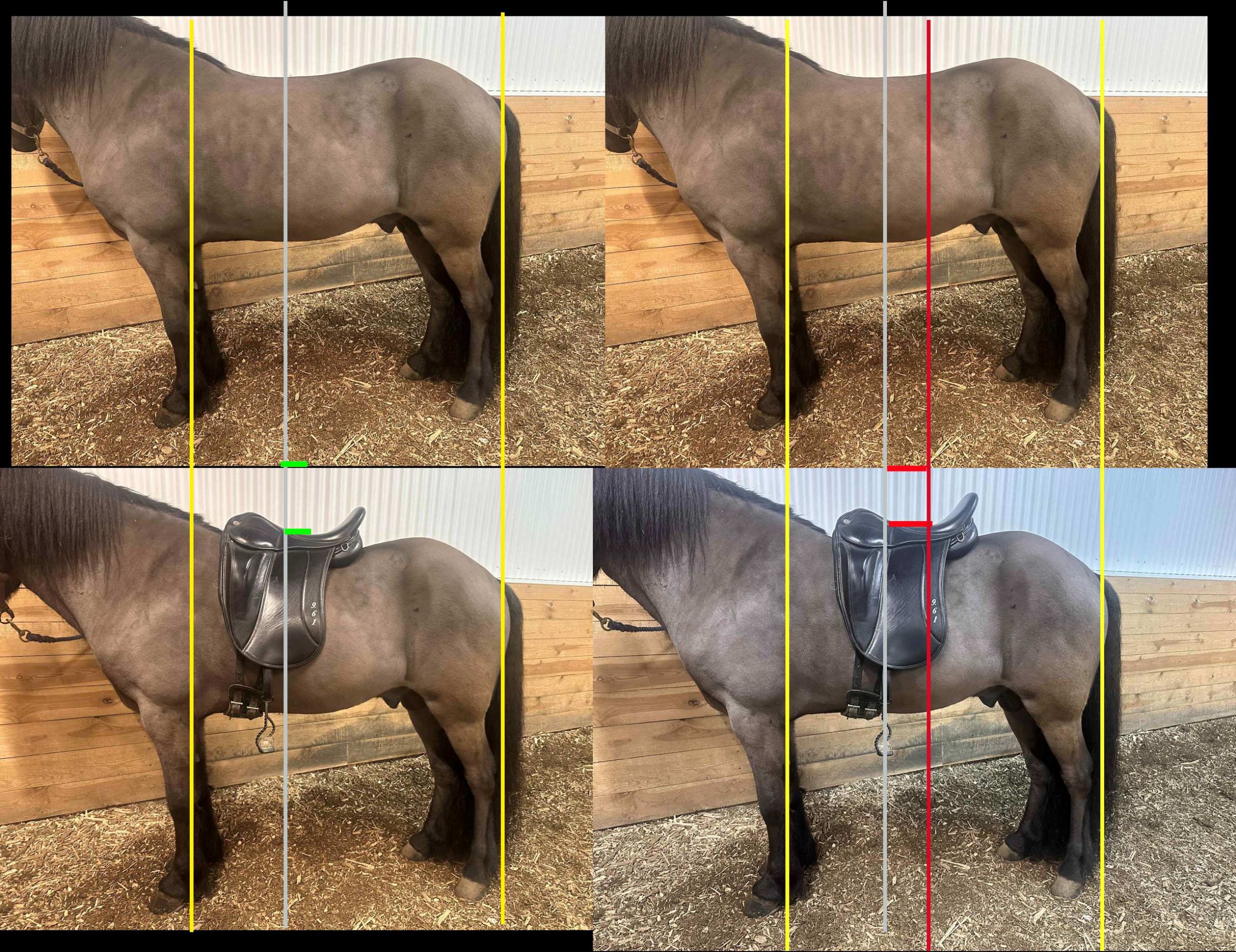 foto-saddle-scaled.jpg